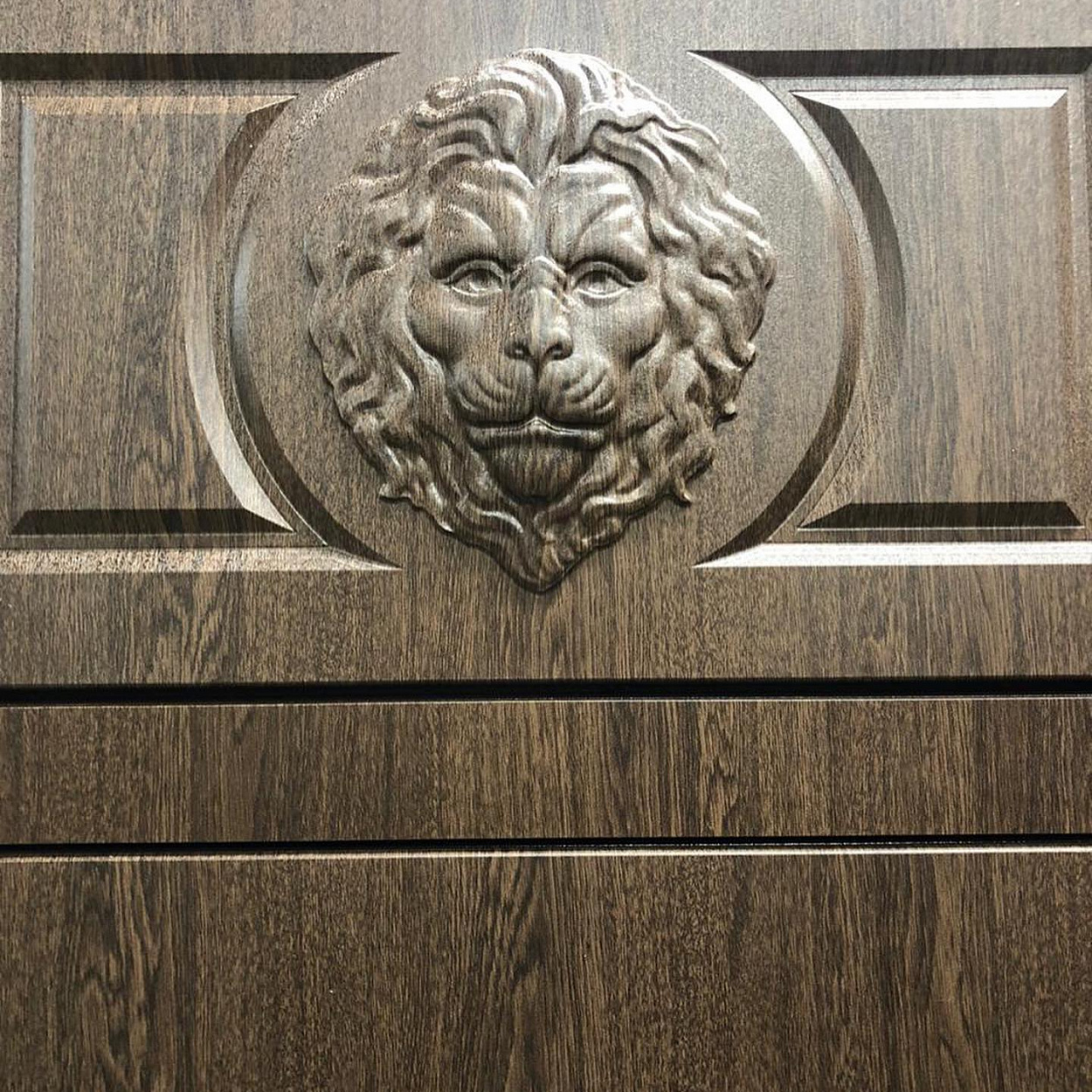 Дверь с фрамугой и кнокером в виде льва